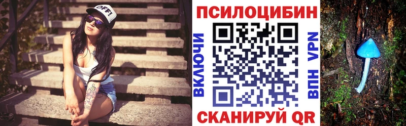 Псилоцибиновые грибы Psilocybine cubensis  хочу наркоту  Балаково 